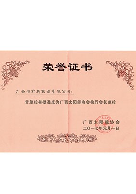 廣西太陽能協(xié)會(huì)執(zhí)行會(huì)長(zhǎng)